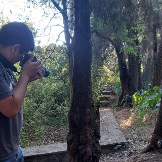 Bosque Colomos en Guadalajara: ¿Qué animales habitan el parque tapatío?