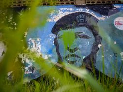 La hierba crece alrededor de un mural del difunto presidente Hugo Chávez en su ciudad natal de Barinas, Venezuela. AP/M. Delacoix