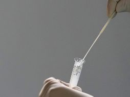 En las últimas 24 horas, fueron notificados cuatro fallecimientos más provocados por el virus. AP/E. Peres