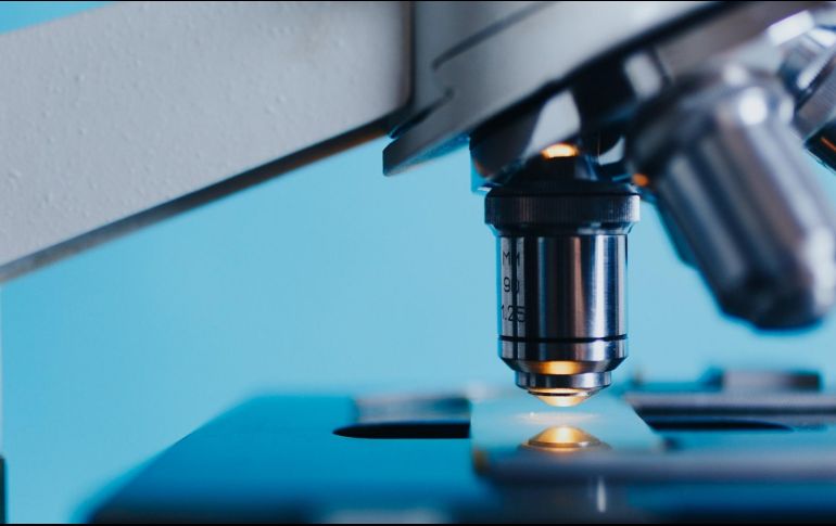 La hipótesis de que el virus de Epstein-Barr cause la esclerosis múltiple ha sido analizada por diversos grupos científicos . PIXABAY