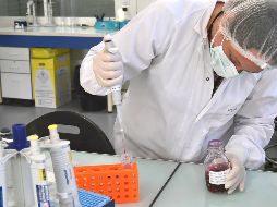 Científicos han descubierto ciertos comportamientos en el genoma y sus mutaciones. AFP/Archivo