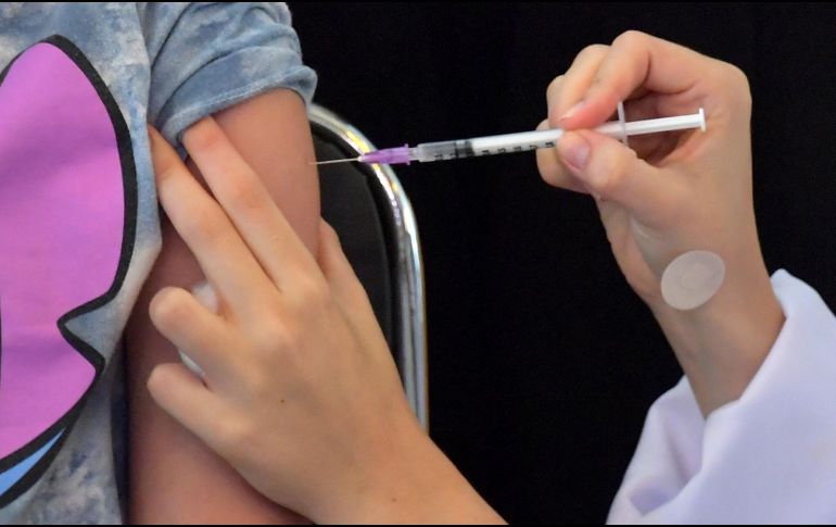 Sandra no pudo hacer la corrección vía electrónica y tampoco acudiendo a las oficinas federales. AFP/N. Almeida