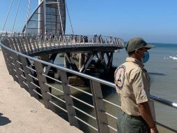 Elementos de Protección Civil mantienen un monitoreo en el comportamiento de las playas de Puerto Vallarta tras la alerta de tsunami. TWITTER / @PCJalisco