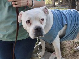 A partir de febrero Gobierno de Zapopan proyecta la creación de cuatro parques más. CORTESÍA/Gobierno de Zapopan