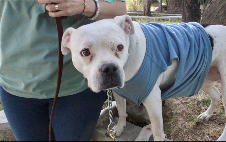 A partir de febrero Gobierno de Zapopan proyecta la creación de cuatro parques más. CORTESÍA/Gobierno de Zapopan