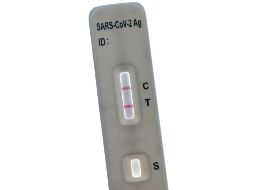 La Administración promete que los envíos se harán en los siete y doce días posteriores al encargo. AFP / ARCHIVO