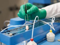 El uso de Paxlovid y Molnupiravir está bajo la tutela del Estado. AFP/Pfizer