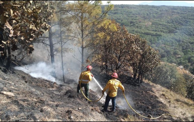 Estos dos incendios forestales son el quinto y el sexto en Jalisco, según estadísticas de la Conafor al cierre de 2021. ESPECIAL
