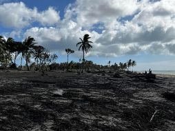 La violenta erupción el sábado del Hunga Tonga Hunga Ha'apai y el tsunami que generó, con olas de hasta 15 metros de alto, ha costado la vida a al menos tres personas. AFP /