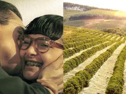 La nueva versión de 