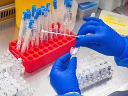 Tener un esquema completo de vacunación es la mejor opción para evitar una fuerte infección. EFE/S. Steinbach