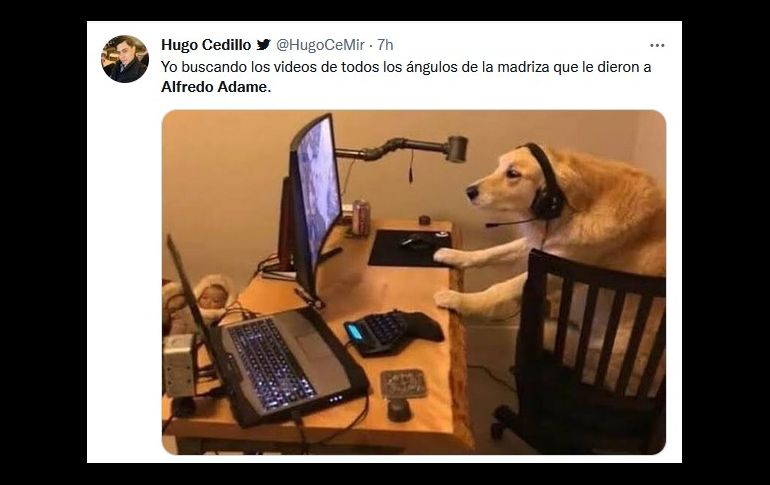 Fotogalería: Golpiza a Alfredo Adame deja divertidos memes en redes