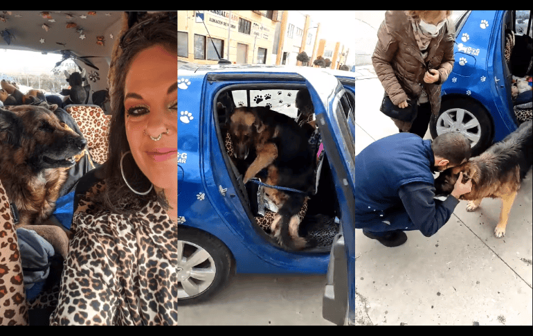 Pepa Tenorio compartió la historia de Dico, la cual tiene a los internautas conmovidos. ESPECIAL