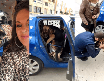 Pepa Tenorio compartió la historia de Dico, la cual tiene a los internautas conmovidos. ESPECIAL