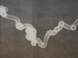 Registro de un supuesto ovni captado por el fotógrafo Adenir Britto. ACERVO JACKSON CAMARGO