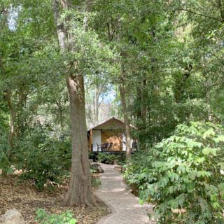 Amacueca, el municipio cafetalero a una hora de Guadalajara