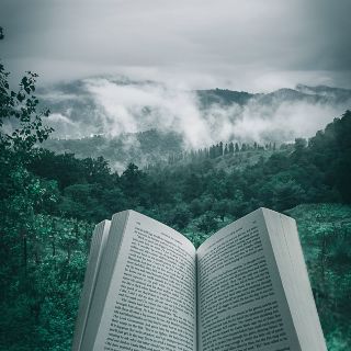 Libros recomendados: Novedades editoriales de Sélector