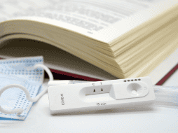 Vigilancia. Los científicos han llamado a ser pacientes para determinar el grado de extensión que ha alcanzado esta variante. Pixabay