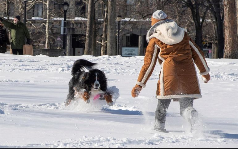 La tormenta, que los meteorólogos han denominado 