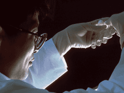 Expertos señalan que el descubrimiento de la variante 