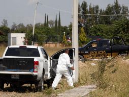 En 2021 se encontraron 109 fosas clandestinas en Jalisco. EFE