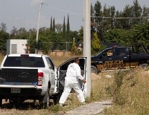 En 2021 se encontraron 109 fosas clandestinas en Jalisco. EFE