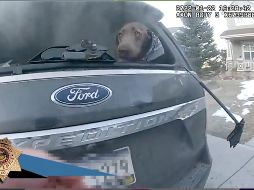 El video de la cámara corporal del policía Michael Gregorek muestra todo lo sucedido. AP/Douglas Country Sheriff's Office