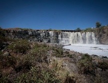 Dicho estudio, realizado por investigadores de la Universidad Autónoma de San Luis Potosí, se realizó en marzo de 2010 y contiene 341 páginas. EL INFORMADOR / ARCHIVO