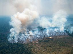 Amenaza constante. Incendios forestales modifican los ecosistemas y el hábitat de la fauna. AFP