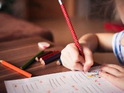 Menores. Un coordinador del PRD buscará sancionar más a explotadores. Pixabay