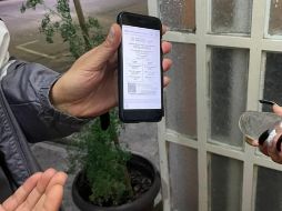 La petición del certificado de vacunación permanecerá vigente todavía un fin de semana más. ESPECIAL