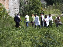 Según los datos que se dan a conocer, trabajadores del campo descubrieron el cuerpo del recién nacido, el cual presume que fue abandonado por la madre ya muerto en ese sitio. EL INFORMADOR / ARCHIVO
