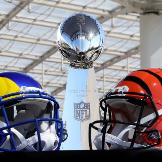 La curiosa predicción de "Nick" el delfín: Este equipo ganará el Super Bowl