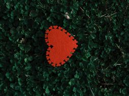 ESPECIAL/Photo by engin akyurt on Unsplash