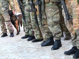 Algunos ciudadanos mexicanos cuestionaron la posibilidad de ser movilizados en compañía de su mascota y la respuesta fue no. AFP /  ARCHIVO