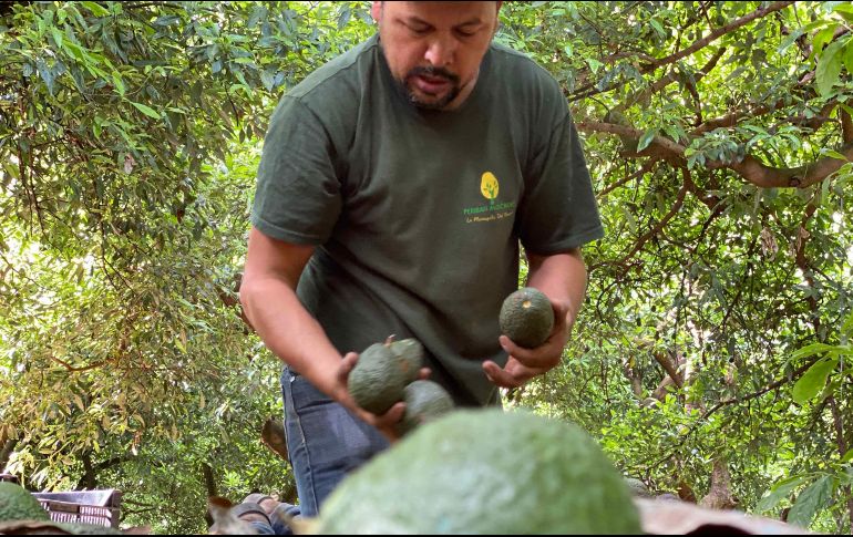 Hay producto detenido y pone en riesgo 300 mil empleos. EFE/I. Esquivel