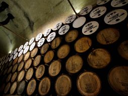 Los principales destinos fueron Estados Unidos (EU), Gran Bretaña, Alemania, Canadá, Australia, España, Letonia y Japón. AFP/Archivo