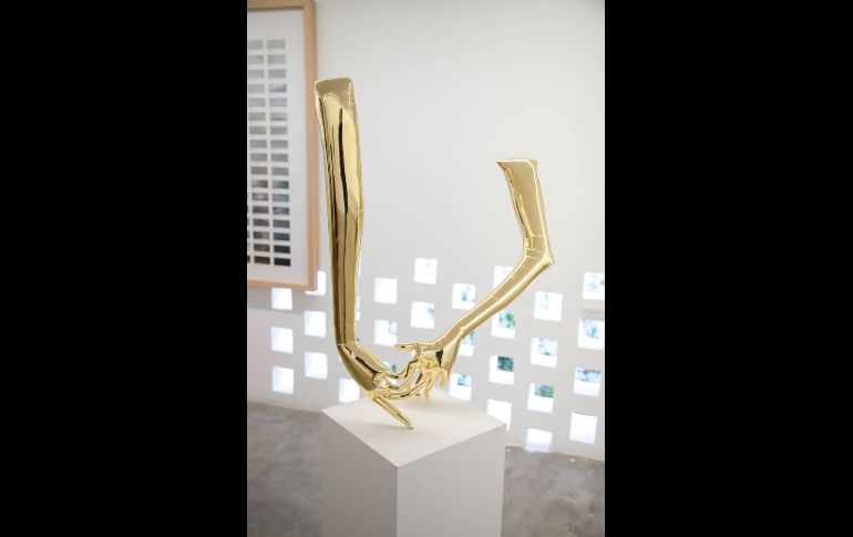 Instructions Unclear en Galería Curro. GENTE BIEN JALISCO/ANTONIO MARTÍNEZ