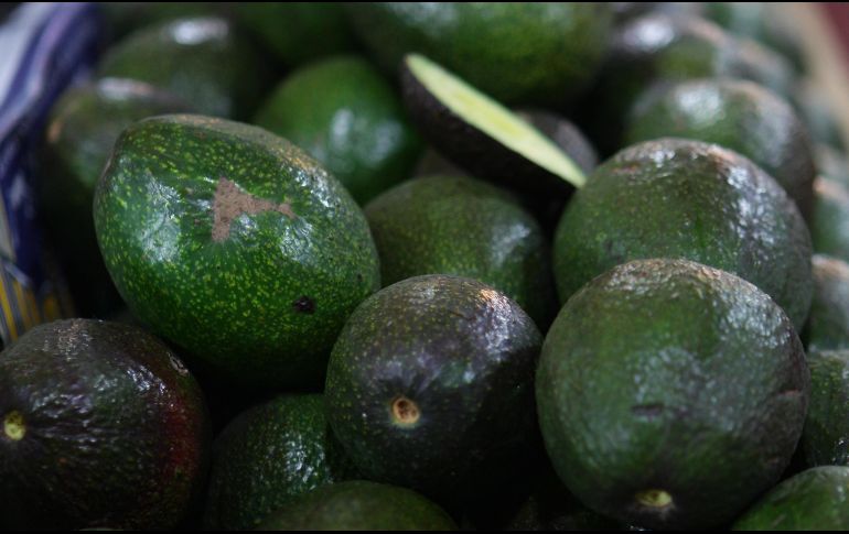 No podrán exportarse cargamentos de aguacate que no hayan sido previamente verificados por los inspectores estadounidenses. EFE/S. Gutiérrez