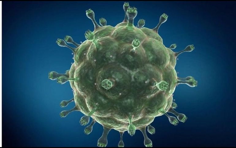 El método de trasplante usado en el caso de esta mujer es invasivo y no es apropiado para la mayor parte de las personas con VIH.  SCIENCE PHOTO LIBRARY