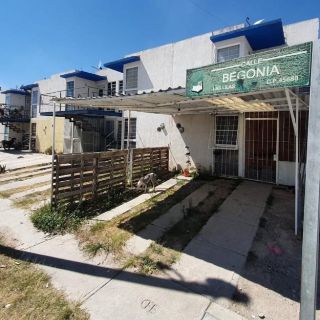 Chavita, un adolescente tierno a quien sus amigos ya extrañan mucho