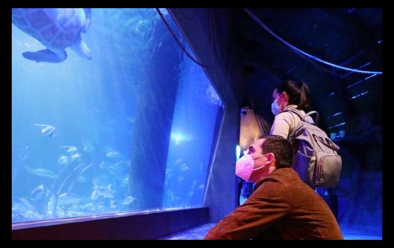 En redes sociales, compañeros de la joven lamentaron la muerte de la hidrobióloga y pidieron justicia. TWITTER/@AlcaldiaMHmx