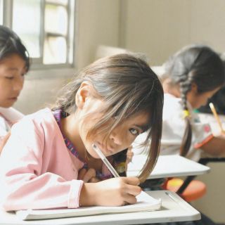 Armaduras en lenguas