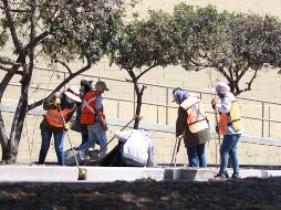 Los trabajos iniciaron en el tramo por donde circula la Línea 3 del Tren Ligero, por avenida Manuel Ávila Camacho y Juan Pablo II. CORTESÍA/Gobierno de Zapopan