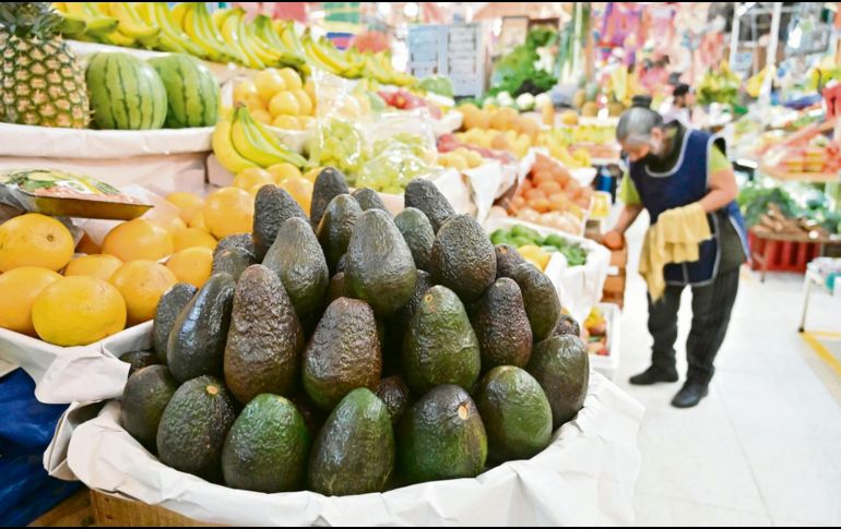 Reporte. Las cifras reflejan la resiliencia del campo mexicano durante la pandemia del COVID-19. AFP