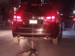 Organismos de protección animal exigieron a las autoridades dar con los responsables de esta acción. ESPECIAL