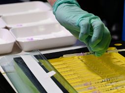 Los entrevistados le temen a los efectos de la dosis, así como el no poder viajar. AFP/T. Schwartz