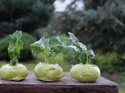 El colinabo es un alimento muy completo y saludable, además de ser un alimento bajo en calorías. ESPECIAL/PIXABAY