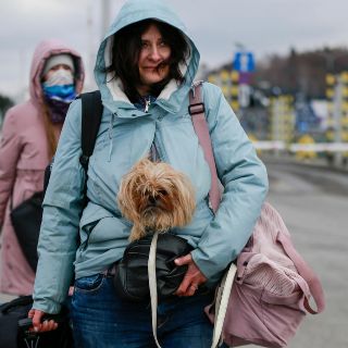 Rusia vs Ucrania: Mexicana huye de Ucrania con su perrita, "a mi bebé no la dejo"