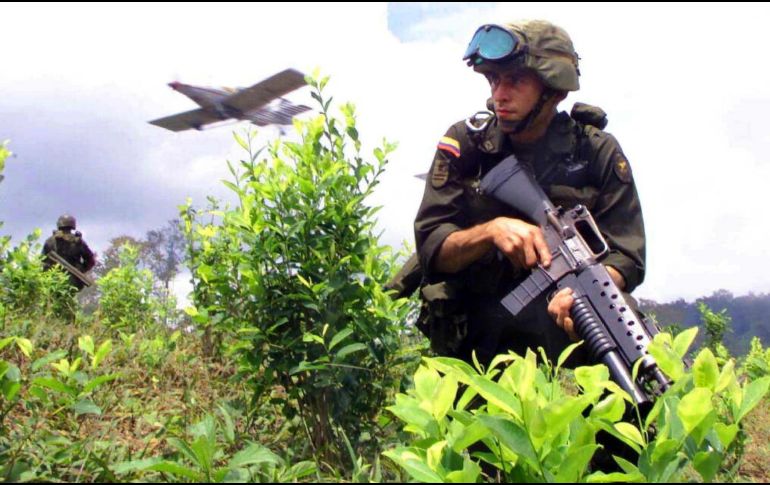 El cultivo de coca en Colombia aumentó a 245 mil hectáreas en 2020.